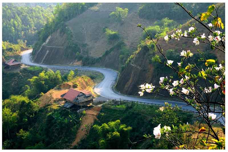 Đường đi cao bằng