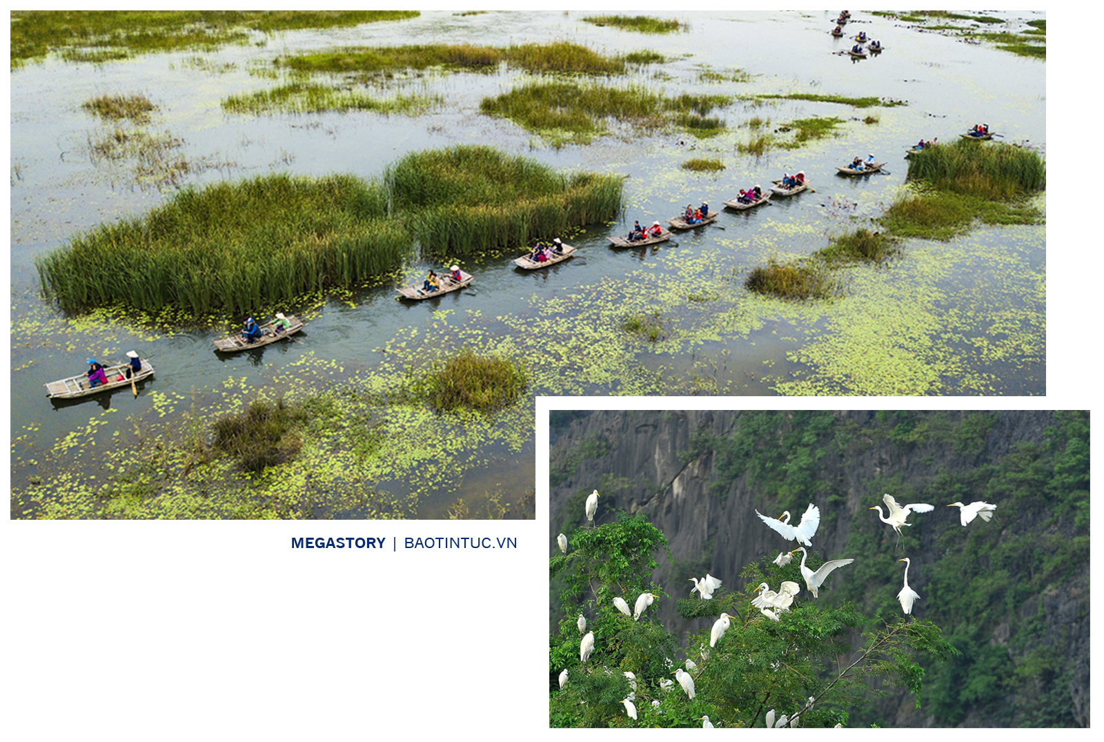 Đầm Vân Long tại huyện Gia Viễn, tỉnh Ninh Bình - khu bảo tồn thiên nhiên đất ngập nước lớn nhất vùng đồng bằng châu thổ Bắc Bộ.